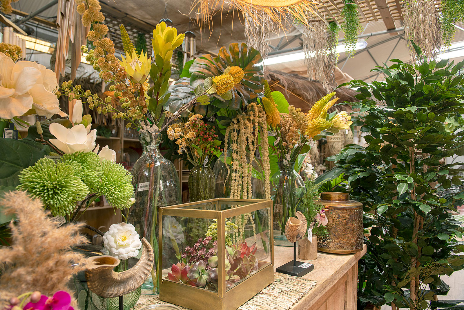 cultius-ponc-header-garden-img-02
